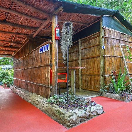 Gala Gala Eco Resort ปอนตา ดู โอว์รู ภายนอก รูปภาพ