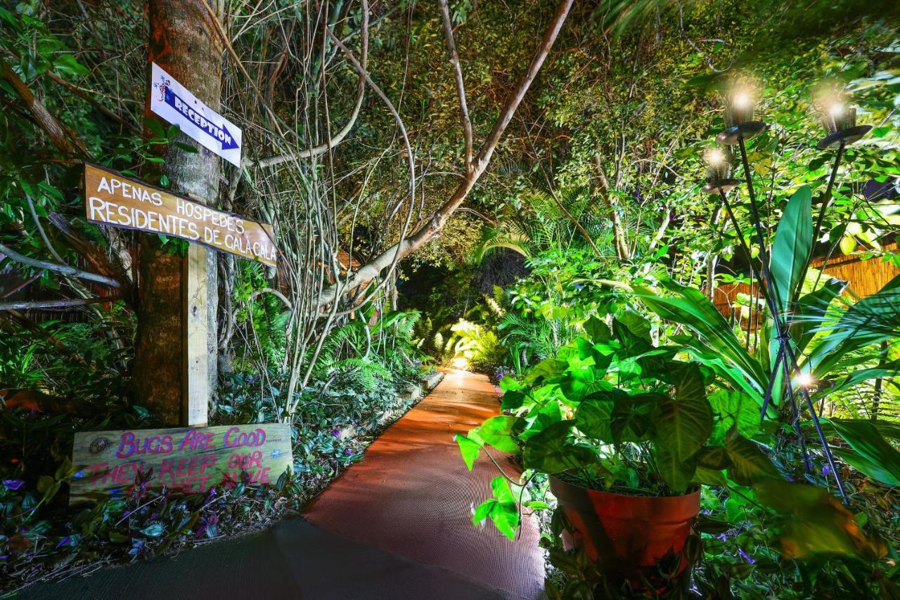 Gala Gala Eco Resort ปอนตา ดู โอว์รู ภายนอก รูปภาพ